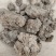 产地直发红薯渣地瓜渣植物性饲料家禽水产黄粉虫专用送货上门