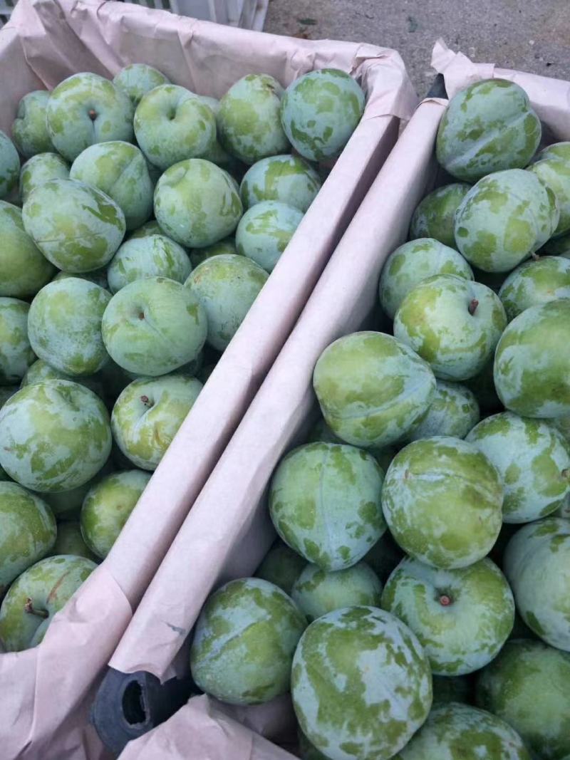 纯甜奈李李子中的精品