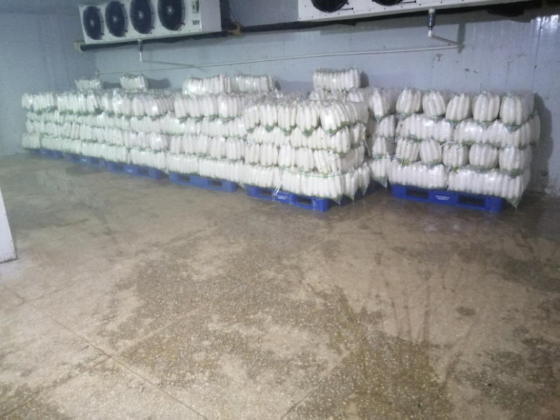 富硒萝卜！！大量上市