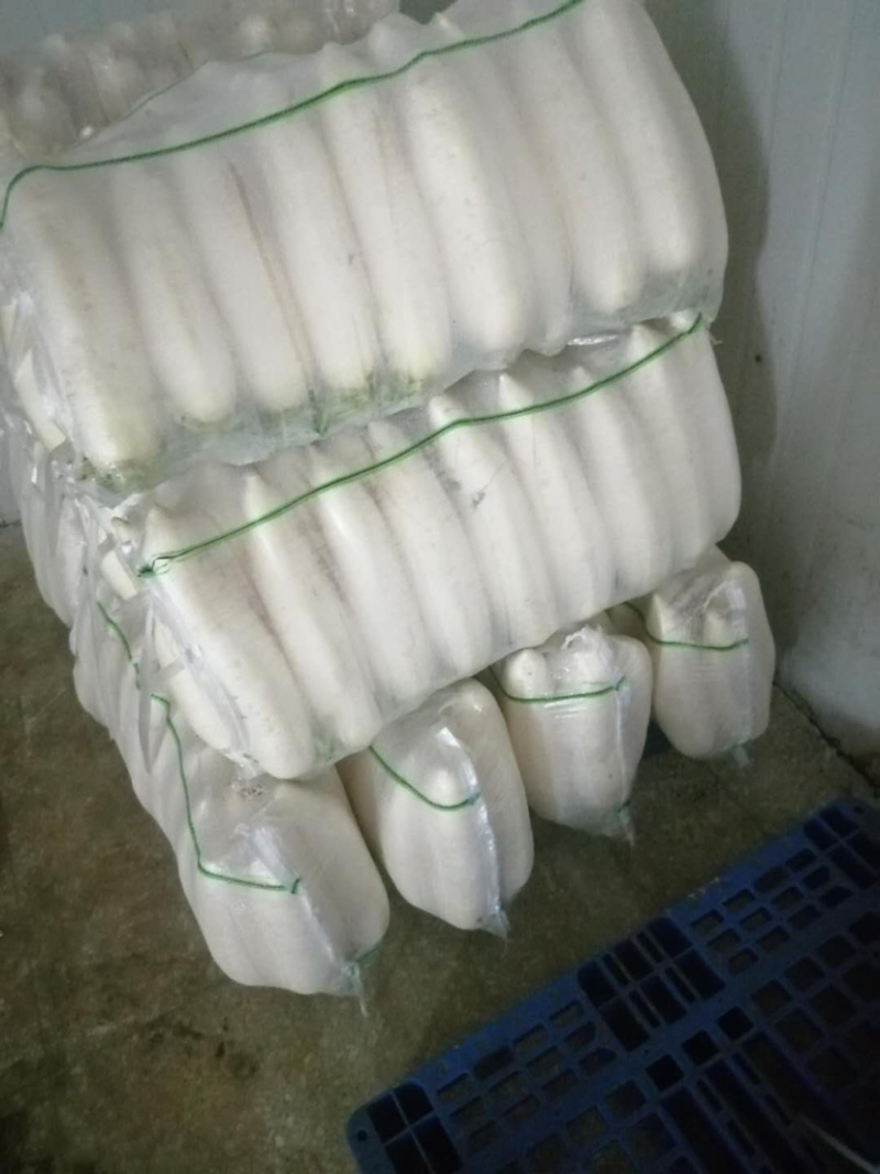 富硒萝卜！！大量上市