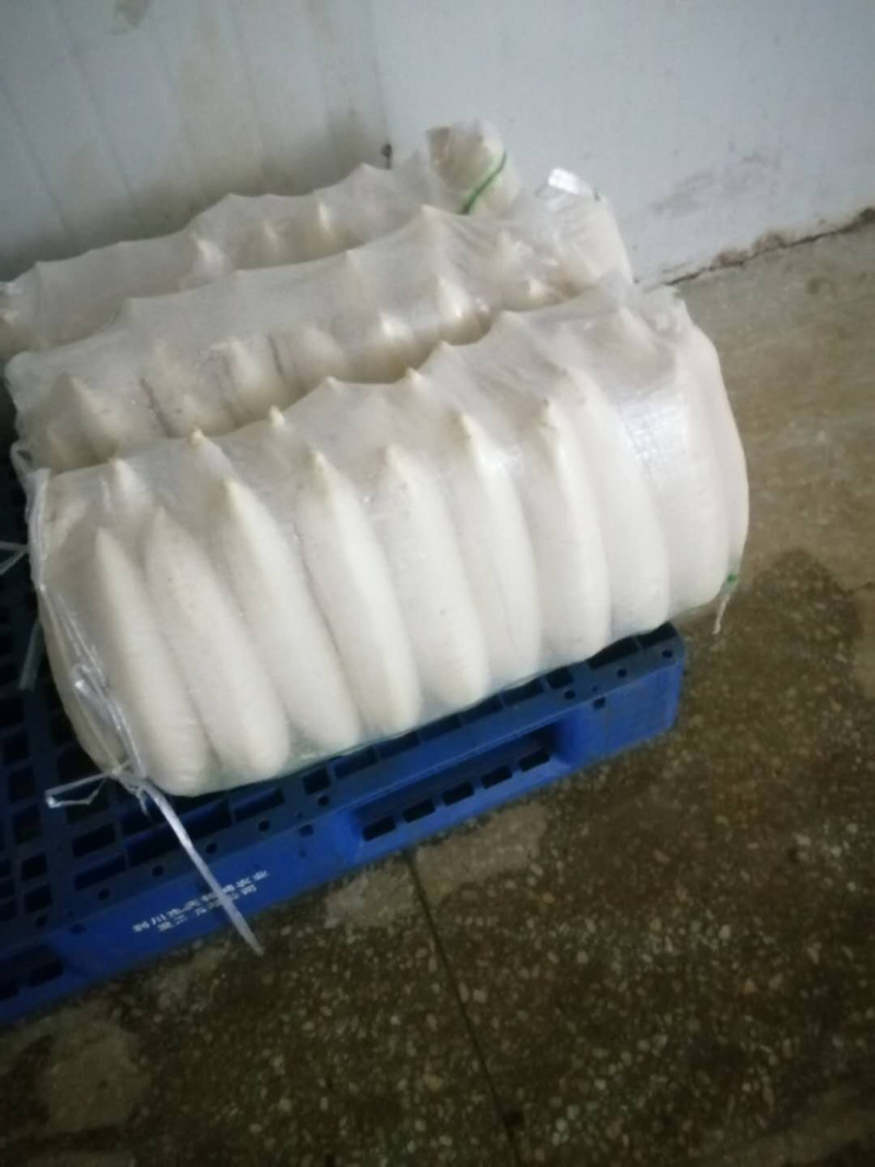富硒萝卜！！大量上市