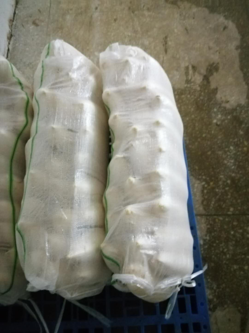富硒萝卜！！大量上市