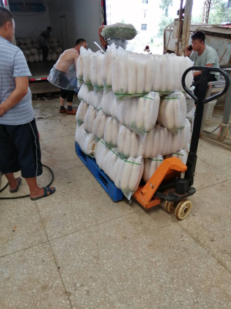 富硒萝卜！！大量上市