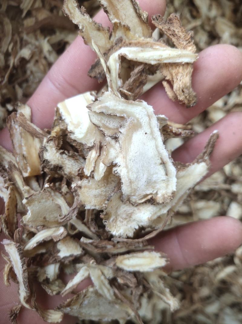 当归全归新货0.2筛关书药业批发中药材