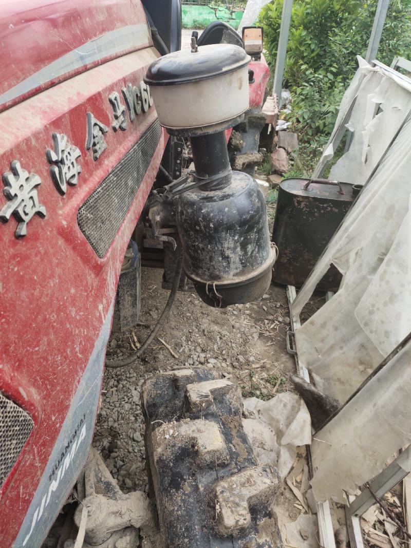 大批量主营上海小青菜