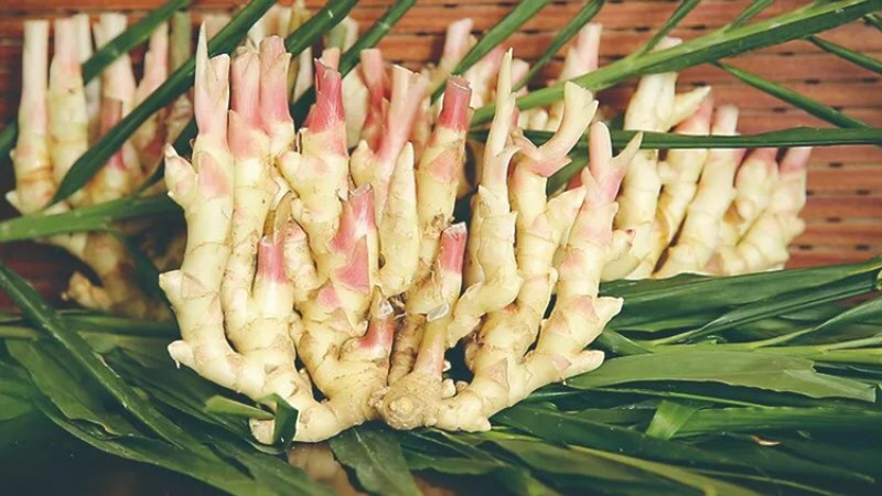 腌制姜、姜芽、子姜、姜母、大基地上市一手货源