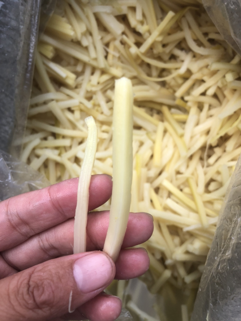 毛竹笋无限量供应可深加工酸笋黄笋丝螺丝粉专用酸笋