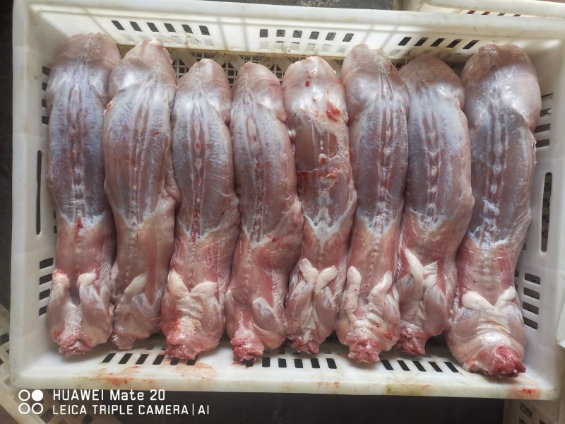 江苏盐城大丰产地供应各种自产自销冷鲜纯净膛兔肉
