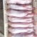 江苏盐城大丰产地供应各种自产自销冷鲜纯净膛兔肉