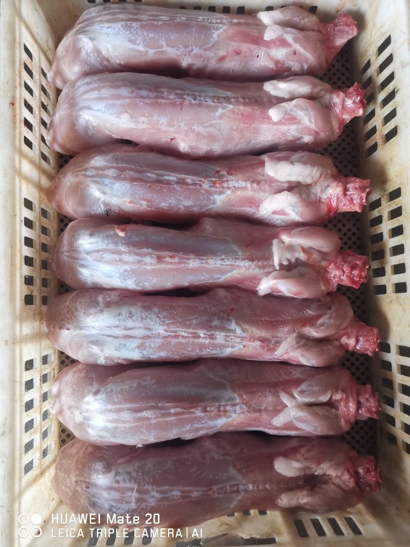 江苏盐城大丰产地供应各种自产自销冷鲜纯净膛兔肉