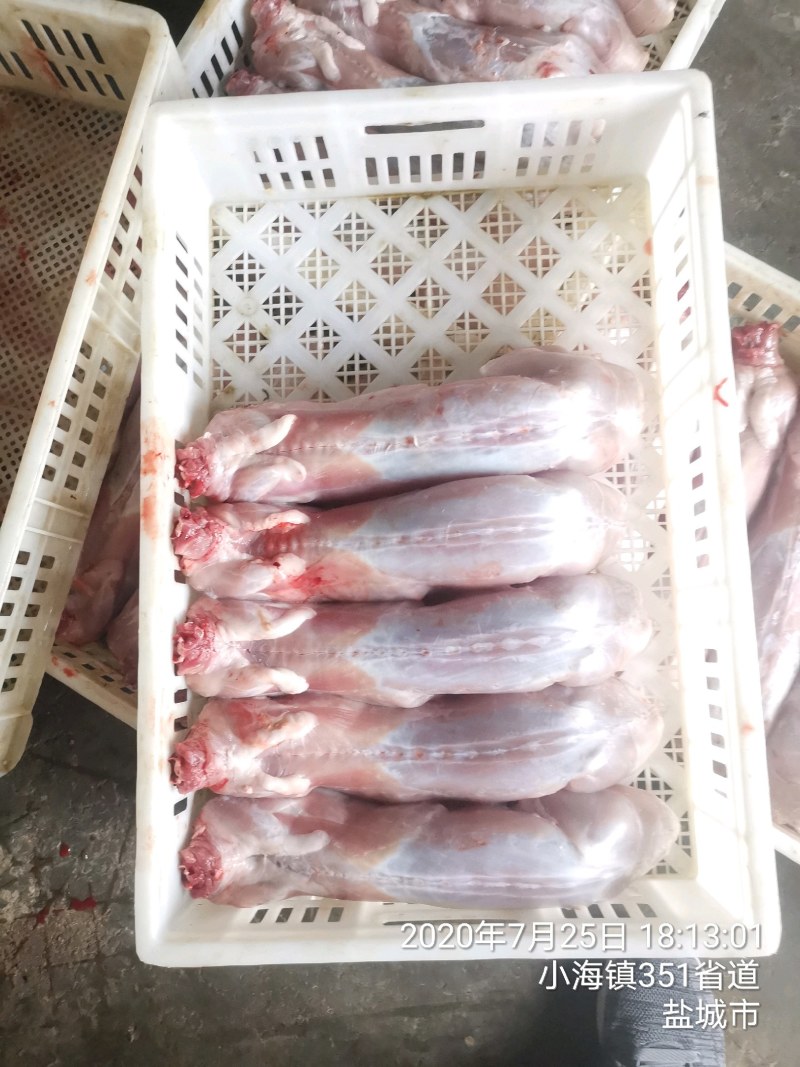 【力荐】兔肉供应各种规格冰鲜冷冻带皮兔肉口感好欢迎来电