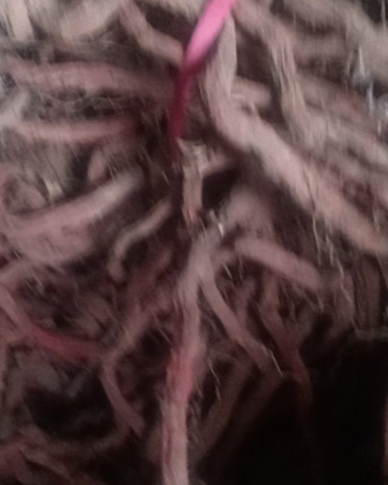丹参一级，沂蒙山山区里的特产，批发零售产地直发