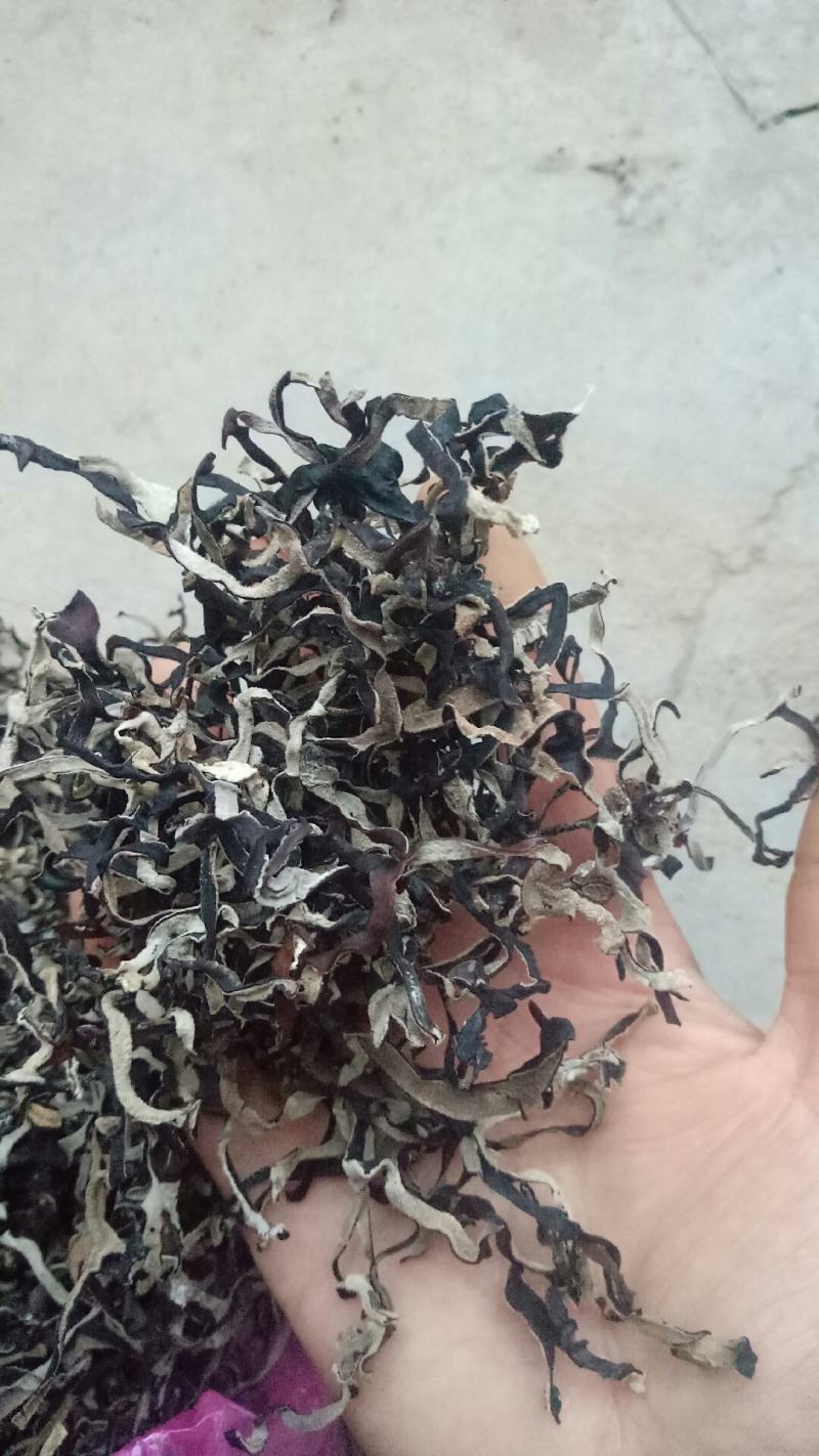 自产自销木耳丝头批二批有货