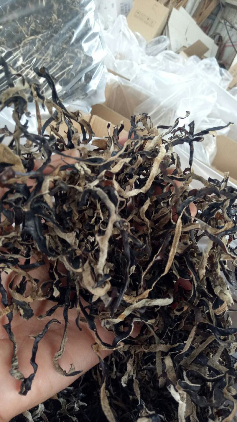 自产自销木耳丝头批二批有货