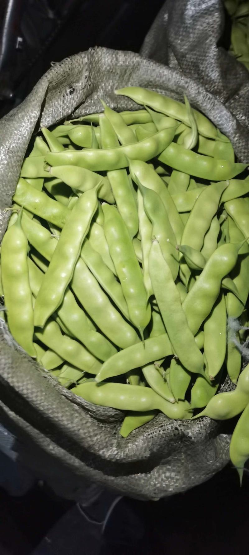 梨树各种蔬菜欢迎前来采购
