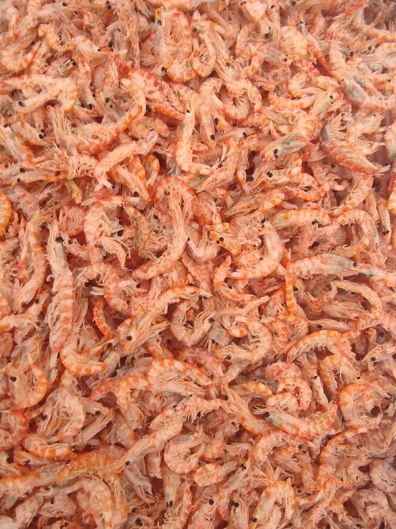 山东淡干大板南极磷虾皮无盐虾米海鲜干货海米补钙多规格