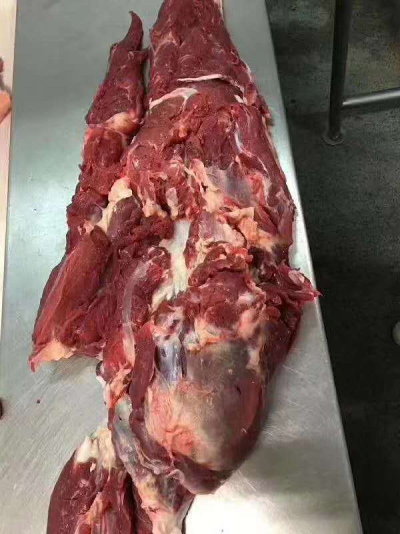 驴肉，现宰驴肉，鲜驴肉，带皮去皮纯驴肉