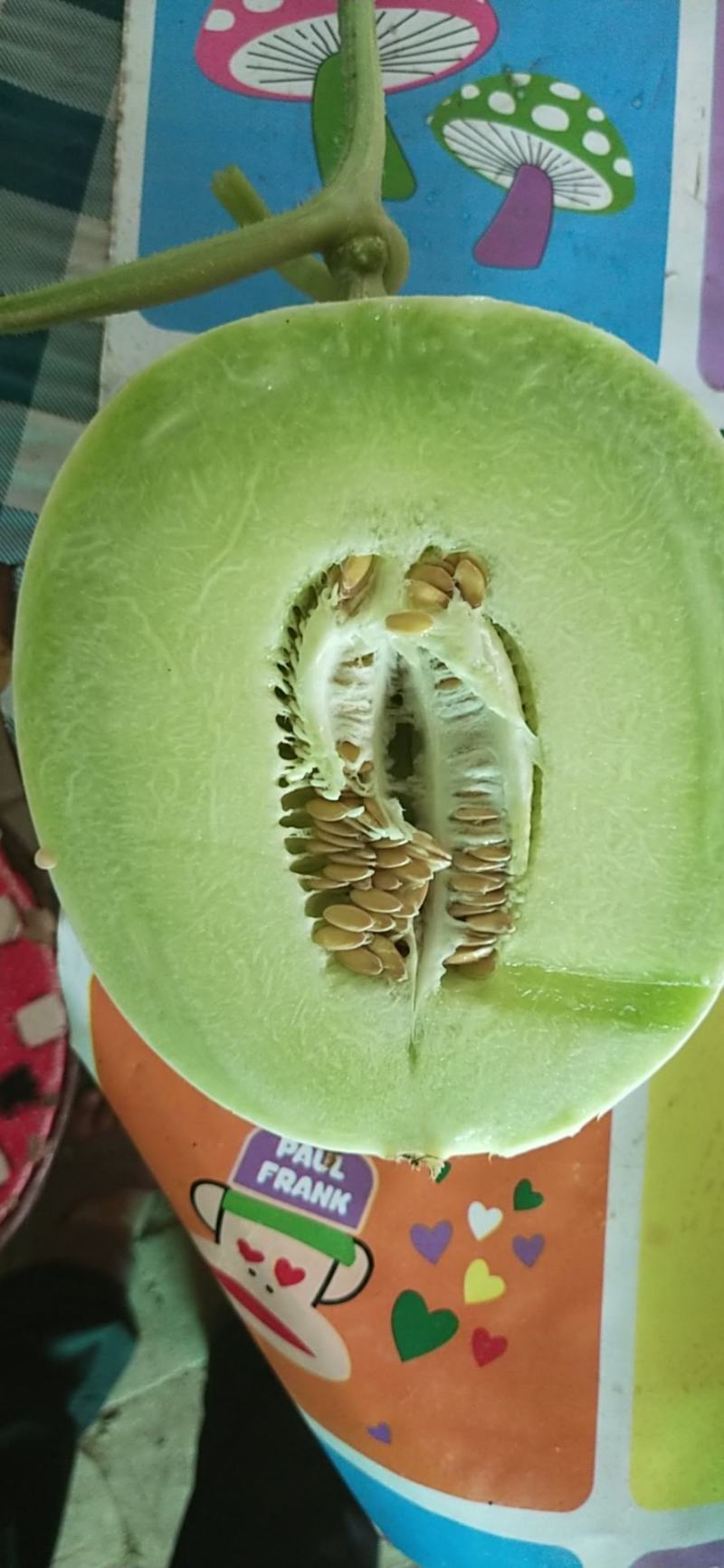 玉菇，玉姑，大面积香瓜甜瓜，品种好，口感甜而不腻