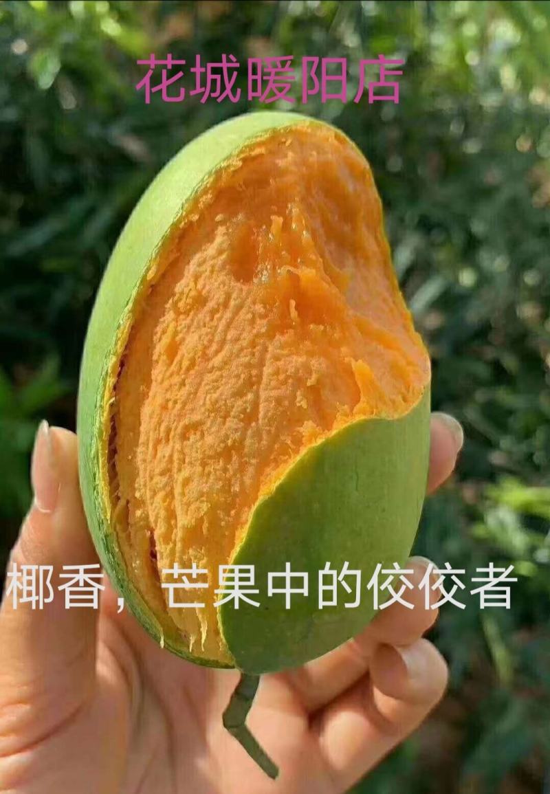 攀枝花芒果大脸芒果椰香凯特苹果芒金煌芒果凯特芒果黄袋