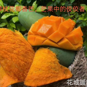 攀枝花芒果大脸芒果椰香凯特苹果芒金煌芒果凯特芒果黄袋