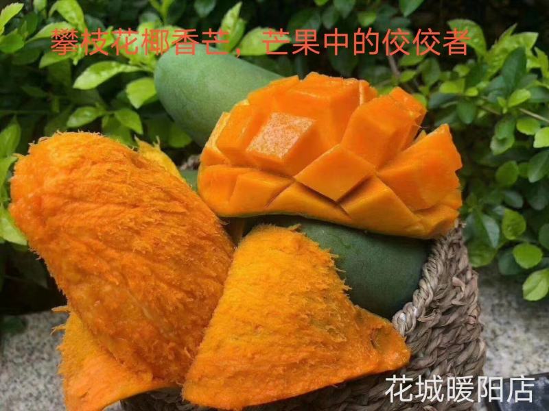 攀枝花芒果大脸芒果椰香凯特苹果芒金煌芒果凯特芒果黄袋