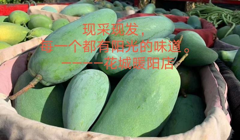 攀枝花芒果大脸芒果椰香凯特苹果芒金煌芒果凯特芒果黄袋