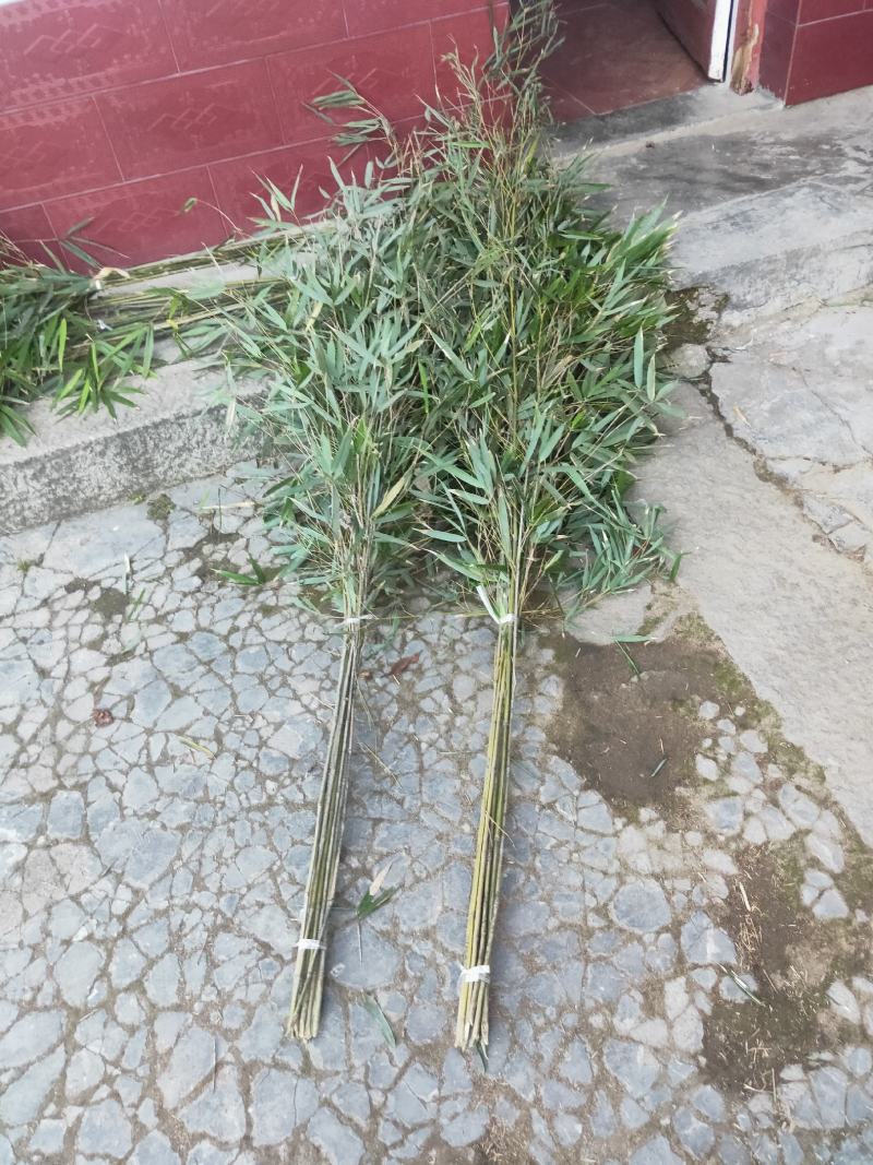 竹子实心扫把欢迎采购！