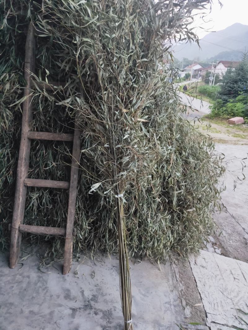 竹子实心扫把欢迎采购！