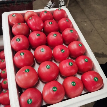硬粉西红柿弧三以上硬粉精品。走超市，市场。