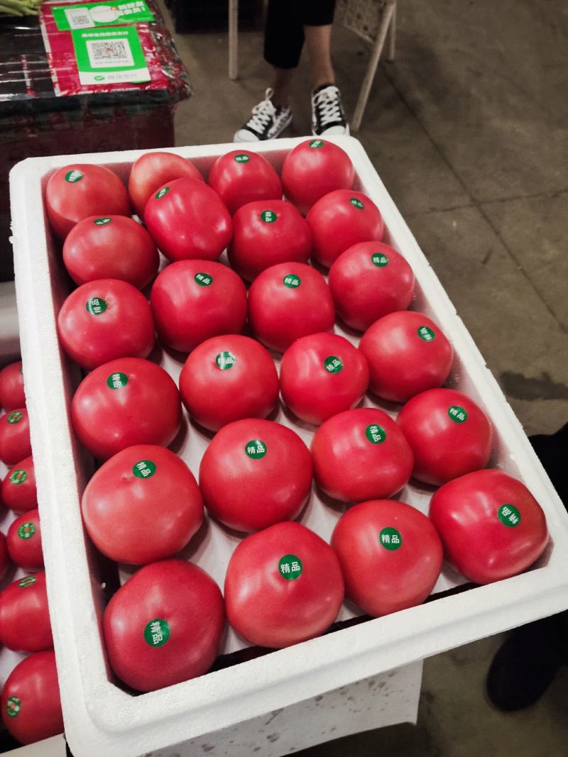 硬粉西红柿弧三以上硬粉精品。走超市，市场。