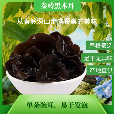 秦岭椴木木耳一级朵朵精选营养滋补农户自产自销杂可一件代发