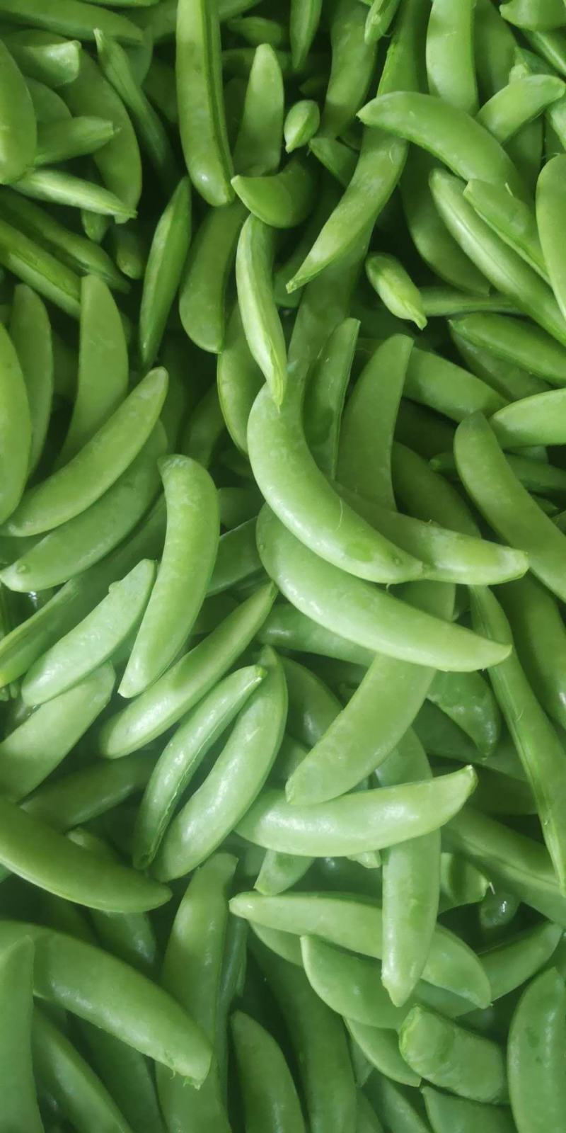 甜豌豆冻品，精品，普货，需要的看过来货源充足欢迎咨询！
