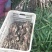 新鲜仔姜大量上市了，欢迎老板下单采购