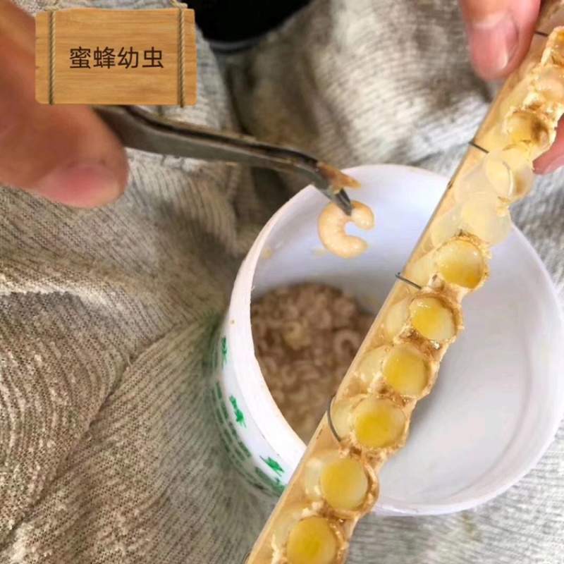 天然浆天然物质大自然精华所在，不同于任何加工的产