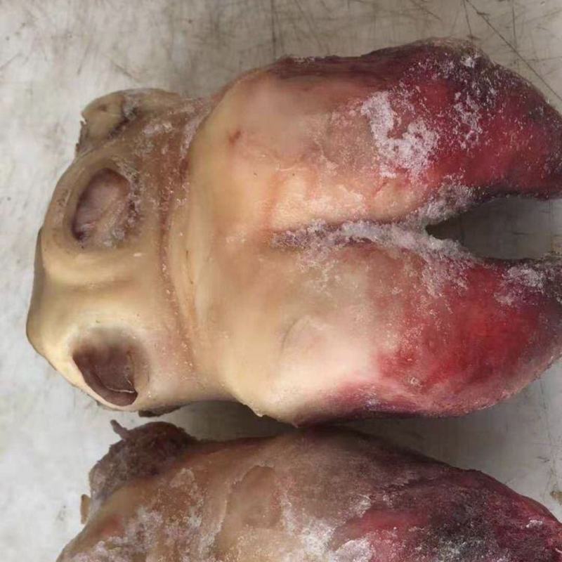 牛蹄掌4斤新鲜黄牛蹄牛蹄筋生牛脚带筋牛蹄子牛脚掌牛爪牛杂
