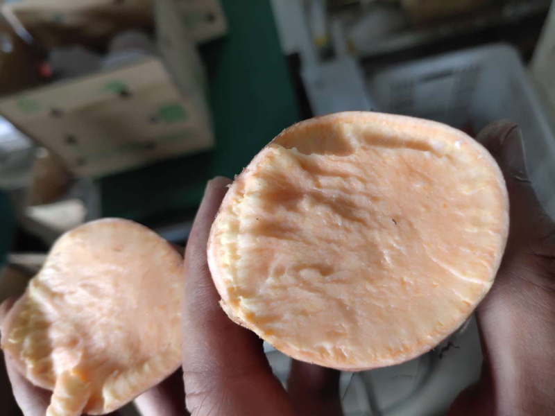 烟薯25大量现货上市对接电商微商平台一件代发
