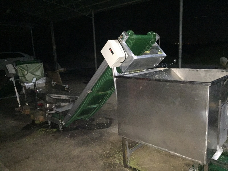 干豆角爆豆角盐豆角坛子豆角湖南卟豆角