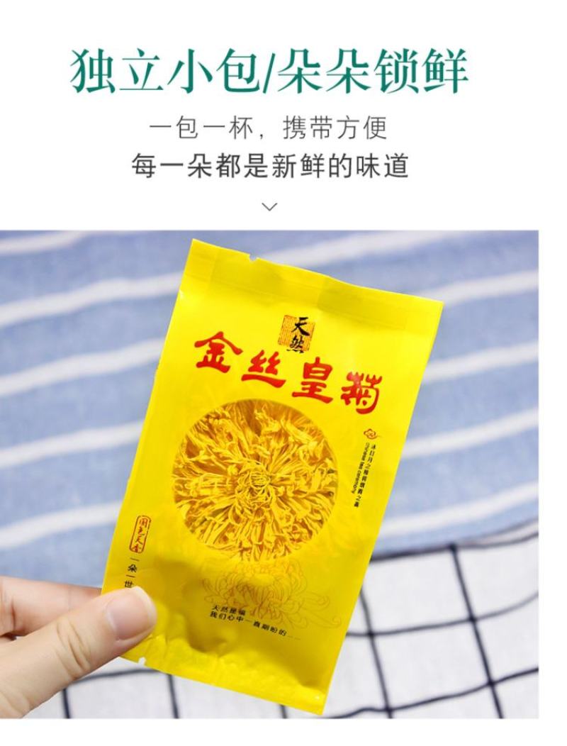 金丝皇菊大朵头采菊花茶一朵一杯