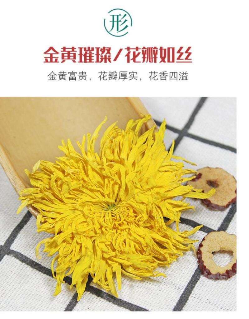 金丝皇菊大朵头采菊花茶一朵一杯