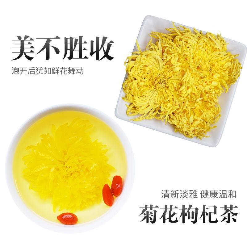金丝皇菊大朵头采菊花茶一朵一杯
