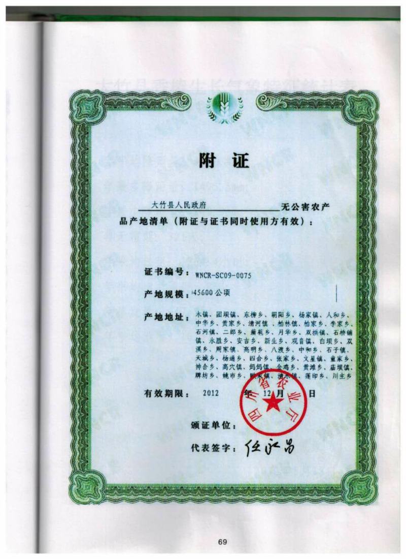 红叶香椿苗红油香椿苗，香椿苗，红油香椿苗。巴山红香椿苗