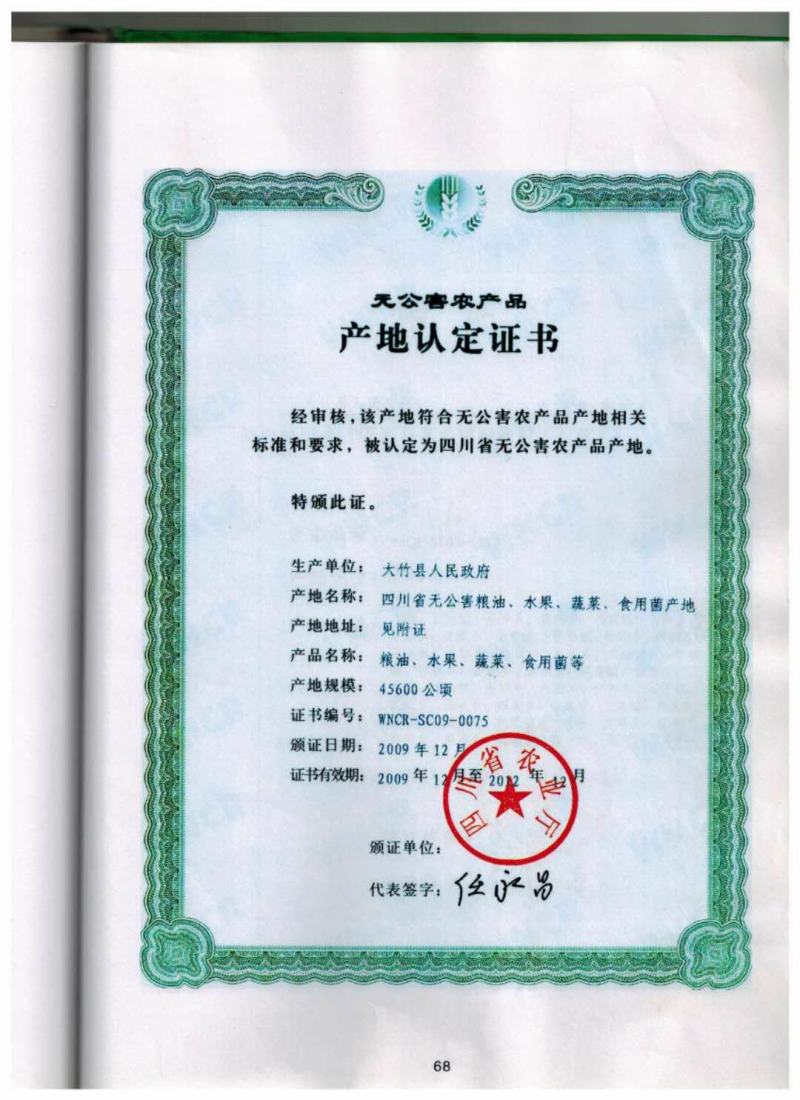 红叶香椿苗红油香椿苗，香椿苗，红油香椿苗。巴山红香椿苗