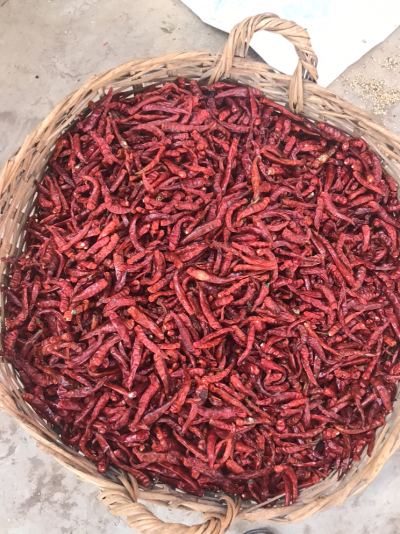 本地小米椒新鲜无硫烘干