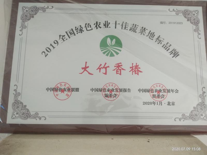 正宗大竹巴山红香椿，二郎红香椿苗，红叶香椿苗大量供应！