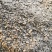 长期生产供应新疆优质葵粕
