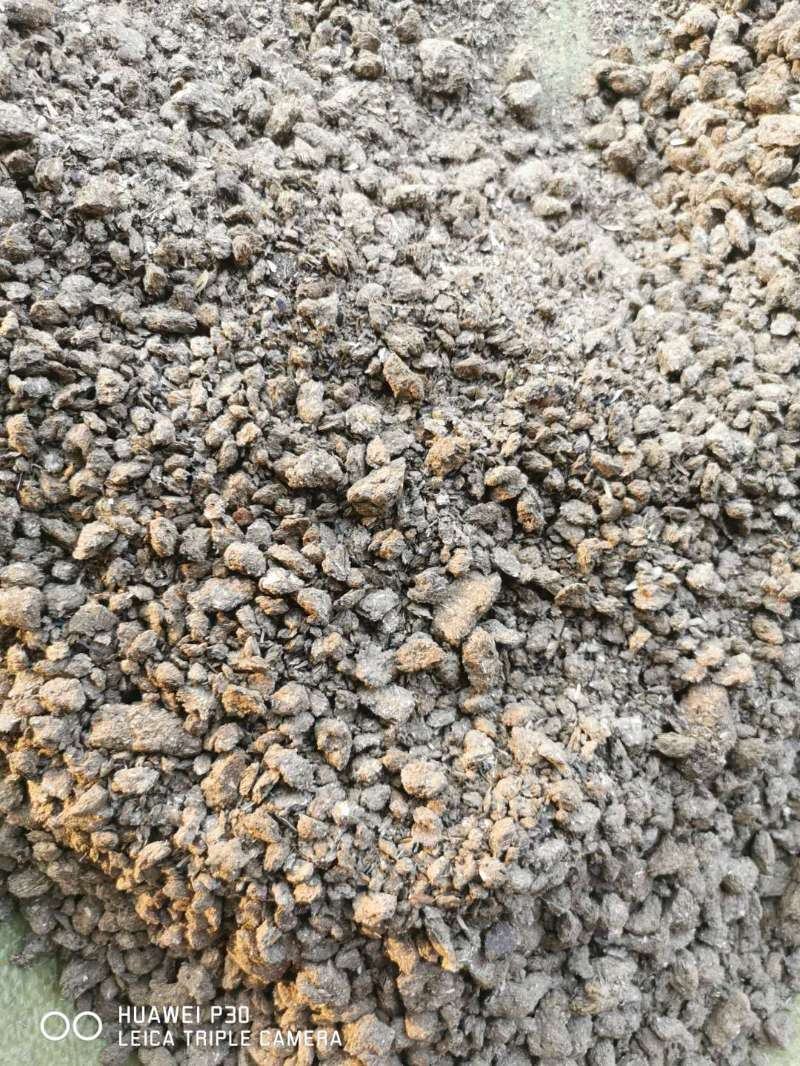 长期生产供应新疆优质葵粕