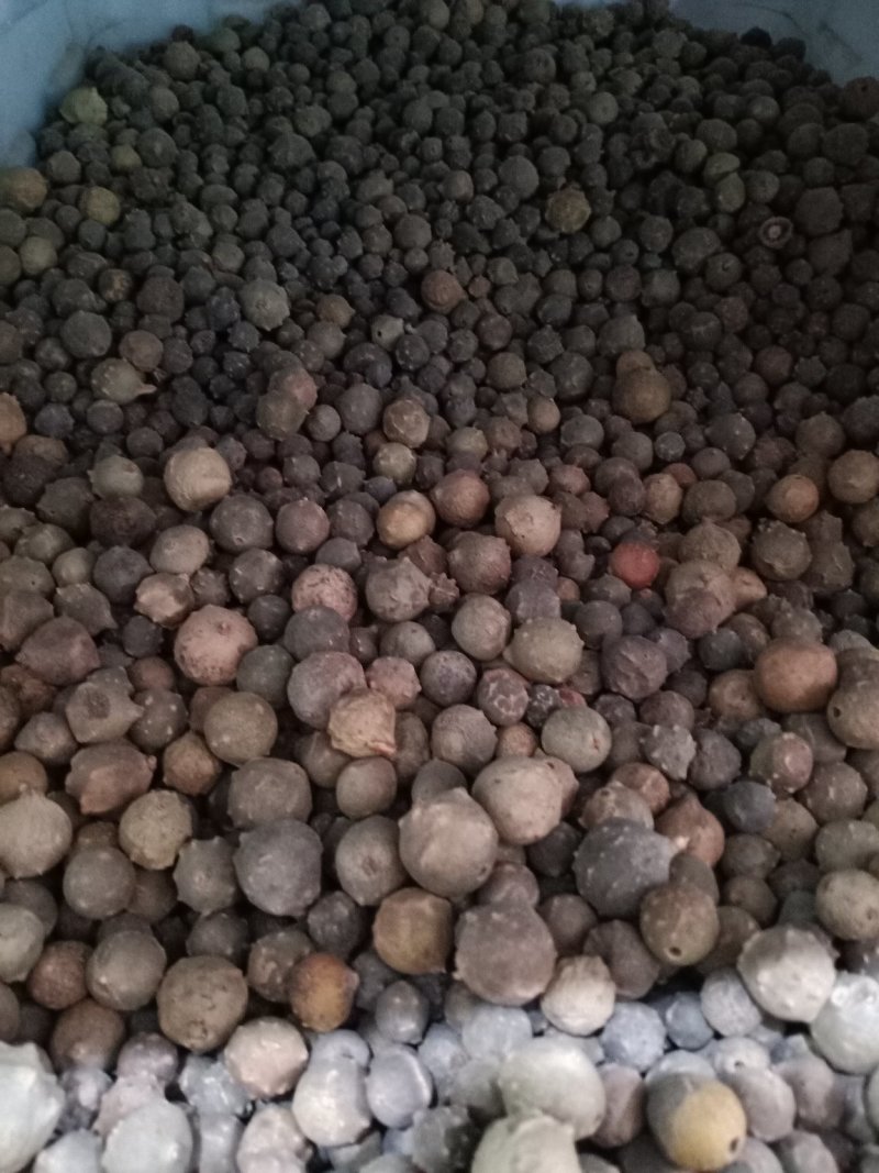 没食子，进口正品，量大从优，欢迎选购！
