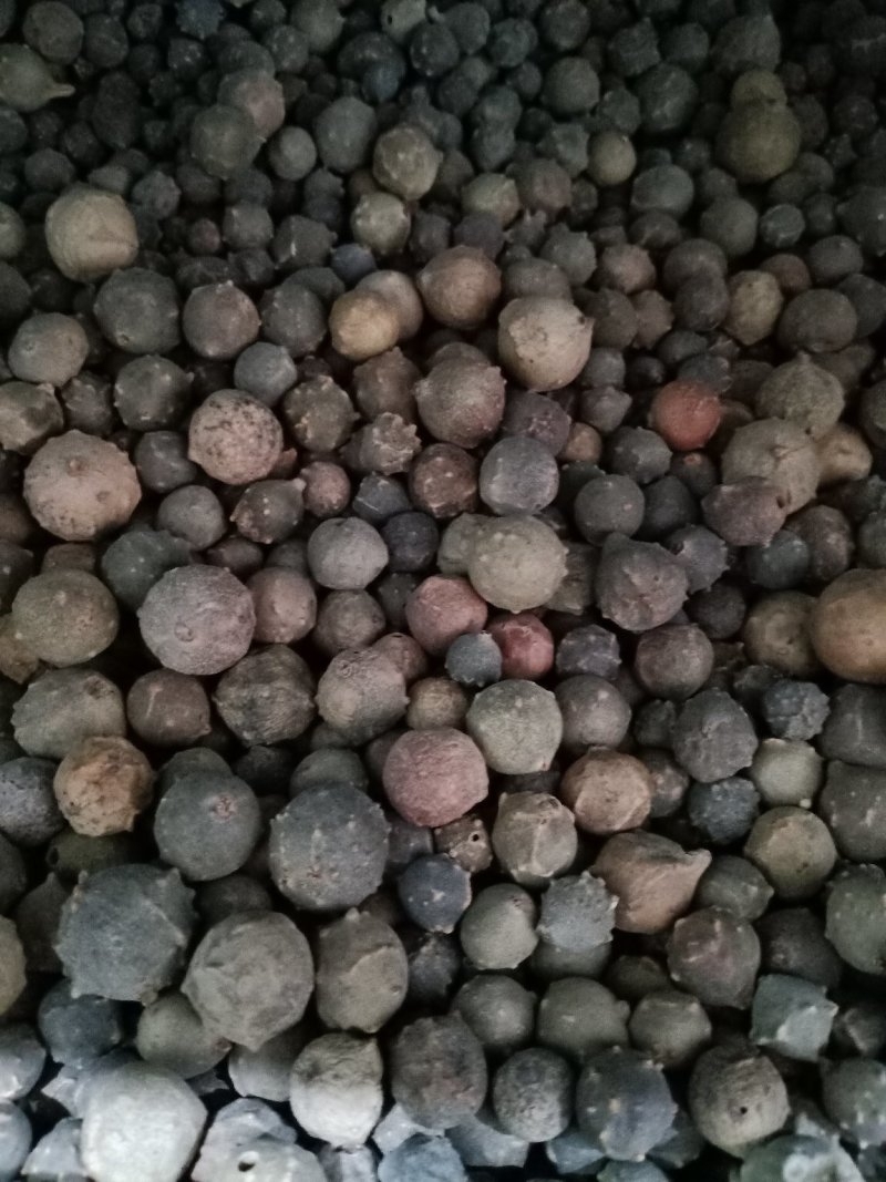 没食子，进口正品，量大从优，欢迎选购！