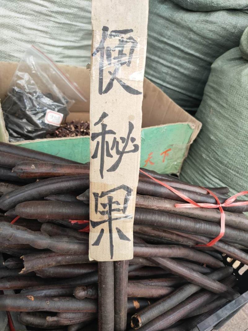 便秘果腊肠果野生通便果
