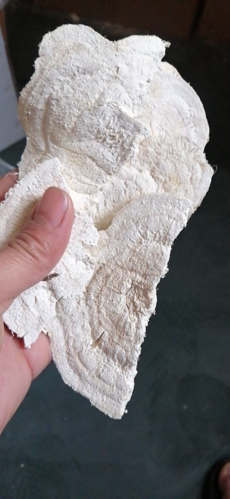 广西精品粉葛片无硫葛根片一手货源产地发货